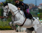 CHIMIRRI V TRAFFIC BOY CampITA2013- S5 0130 : CHIMIRRI VINCENZO, Campionati Italiani 2013, Cattolica, Horse Riviera Resort, TRAFFIC BOY, foto di Stefano Secchi ©